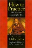 How to Practice: The Way to a Meaningful Life