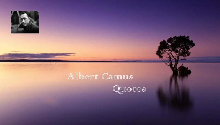 Albert Camus Quotes