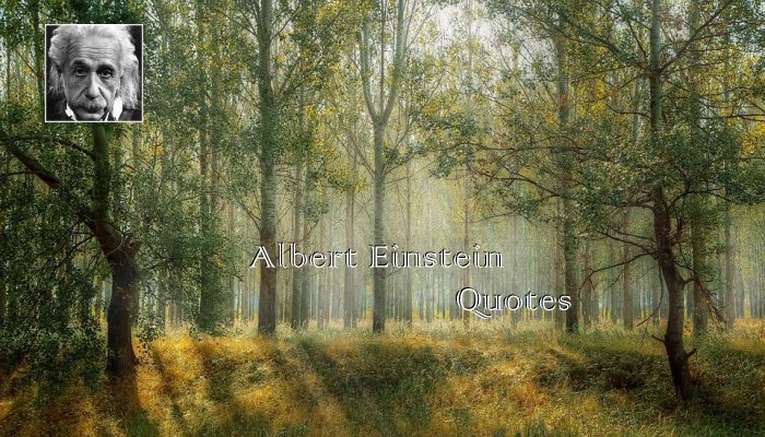 Albert Einstein Quotes