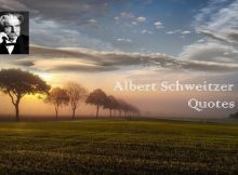 Albert Schweizer Quotes