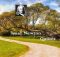 Isaac Newton Quotes