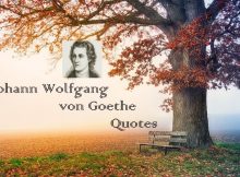 Johann Wolfgang von Goethe Quotes