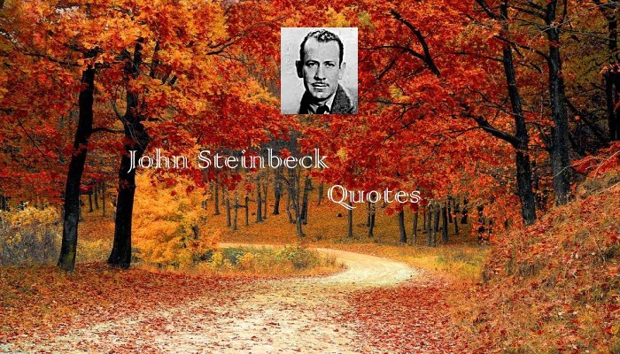 John Steinbeck Quotes