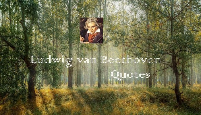 Ludwig van Beethoven Quotes