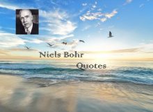 Niels Bohr Quotes