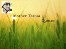 Mother Teresa Quotes