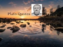 Plato Quotes