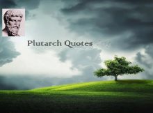 Plutarch Quotes