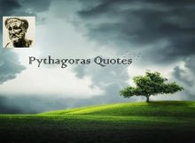 Pythagoras Quotes