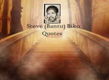 Steve (Bantu) Biko Quotes