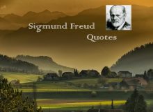 Sigmund Freud Quotes