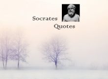 Socrates Quotes