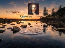 Voltaire Quotes