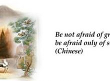 Chinese Proverbs