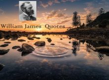 William James Quotes