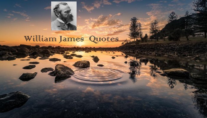 William James Quotes